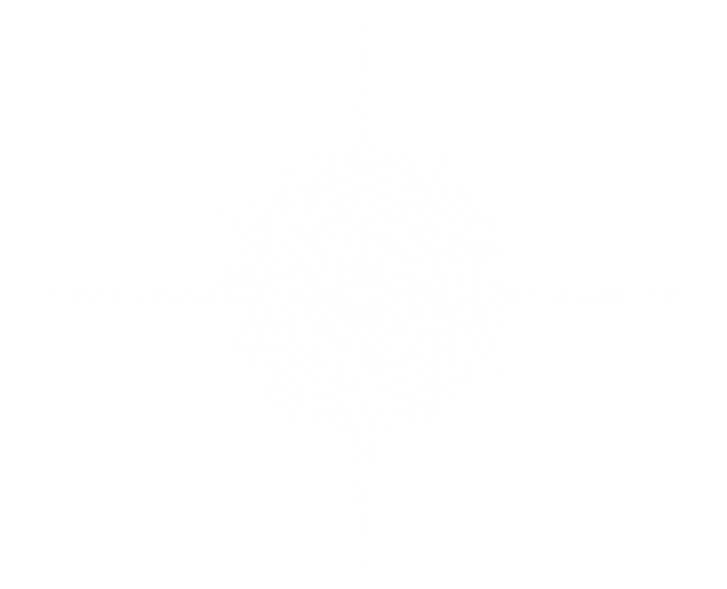 Bright Transparent Glare. Decoration, Bright Flash